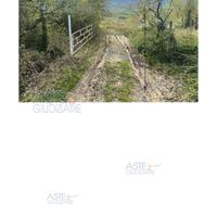 Terreno Agricolo Poggio San Marcello [A4309004]