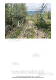 Terreno Agricolo Poggio San Marcello [A4309004]