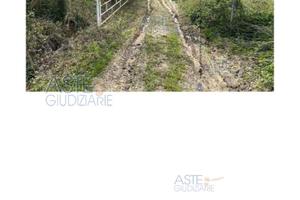 Terreno Agricolo Poggio San Marcello [A4309004]