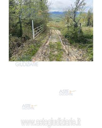 Terreno Agricolo Poggio San Marcello [A4309004]