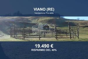 Immobile in asta di 12503 m² a Viano