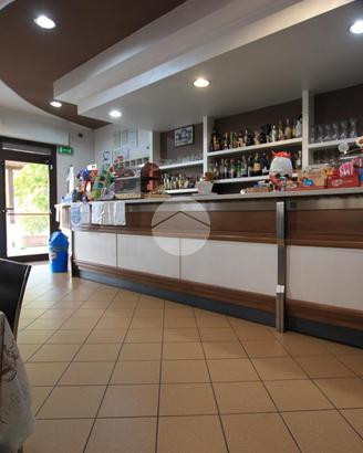 ATTIVITÀ A FIDENZA