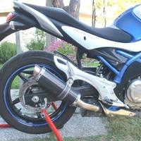 Thunder Carbon Roadsitalia Suzuki Gladius 650