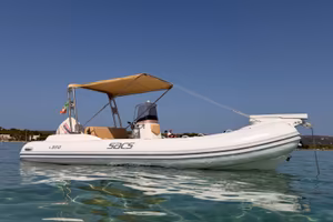 SACS S590 con Evinrude 150 cv