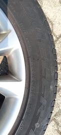 gomme estive 