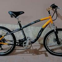 Bicicletta elettrica