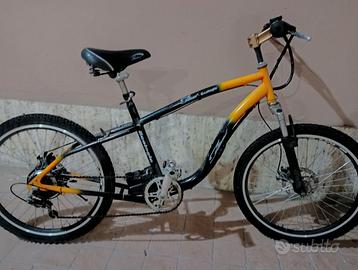Bicicletta elettrica