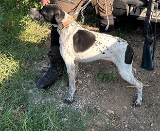 Pointer