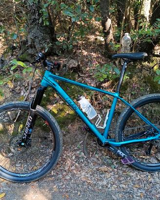 MTB cross country e gravel