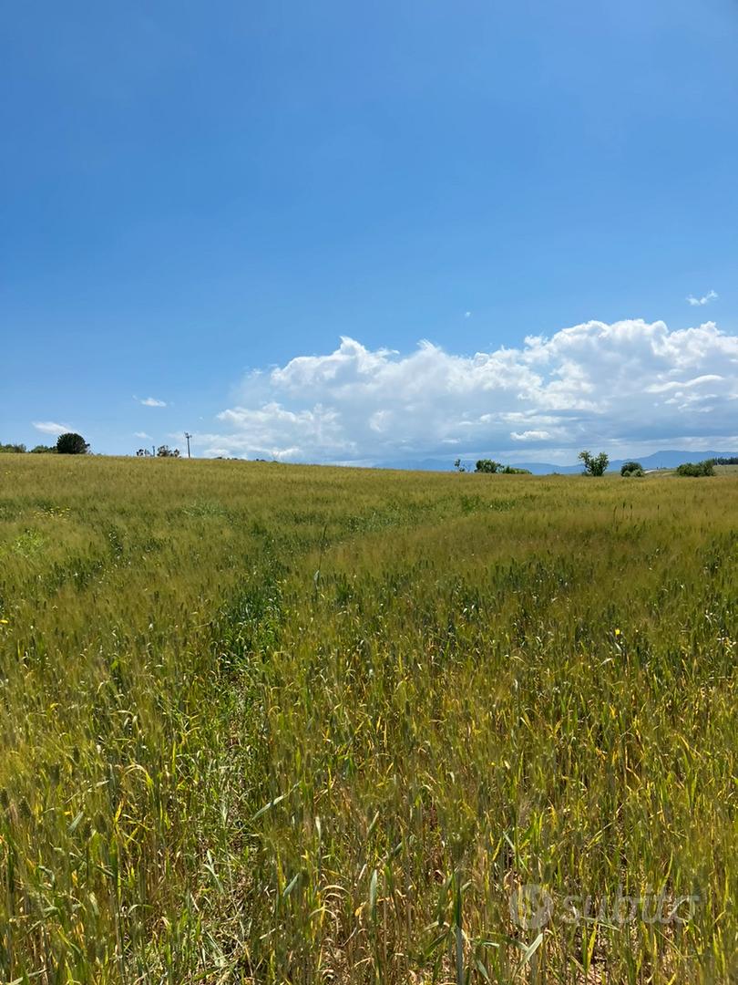 Terreno agricolo - Vista 2