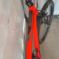 mountain bike