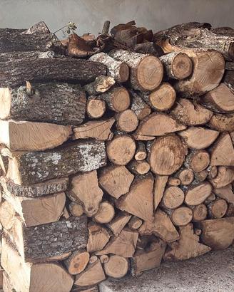 legna di quercia da ardere 