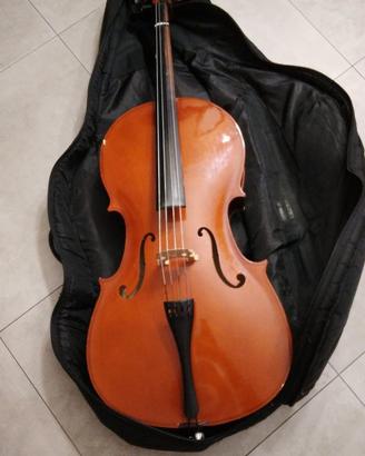 violoncello usato