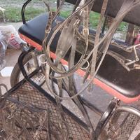 Calesse con finimenti