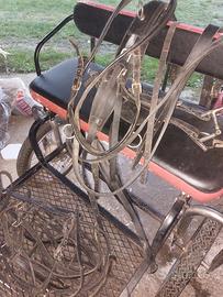 Calesse con finimenti