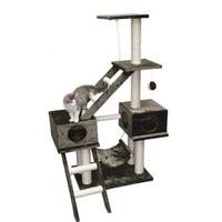 TIRAGRAFFI GATTO NUOVO PARIGI