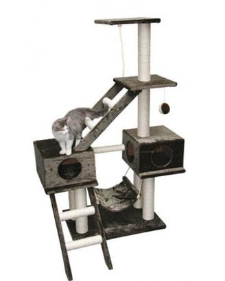 TIRAGRAFFI GATTO NUOVO PARIGI