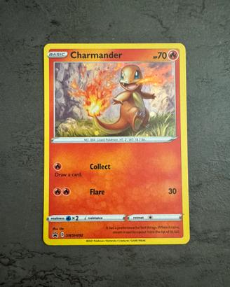 Charmander Promo Holo
