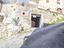 Immagine 13
