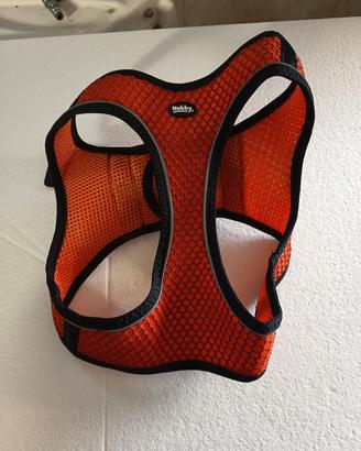 Pettorina Nobby Mesh Air - L