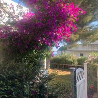 Appartamento con giardino Villaggio Tucano