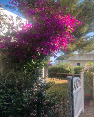 Appartamento con giardino Villaggio Tucano