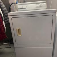 Asciugatrice professionale