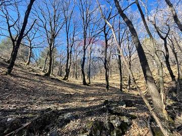 Terreno - Linguaglossa