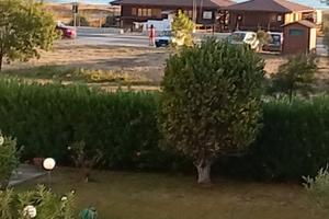 San salvo marina fronte mare disp dal 22ag