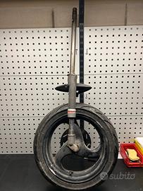 Forcella Nrg/typhoon/ntt