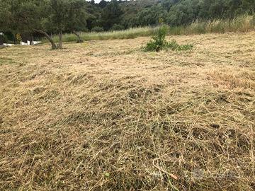 Terreno agricolo