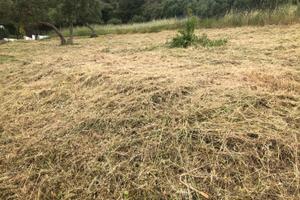 Terreno agricolo