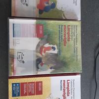 Libri LICEO semi nuovi