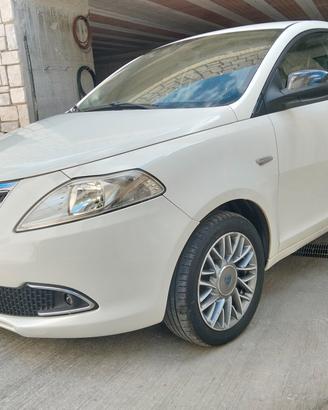 Lancia Ypsilon 1.3 MJT 16V 95 CV 5 porte S&S Plati