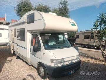 MC Louis Glen 560