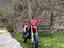 Immagine 6