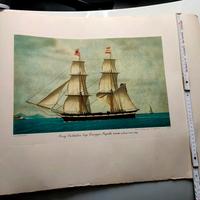 stampe di navi barche