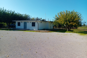 Deposito e Terreno agricolo