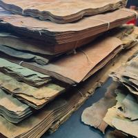 STOCK DI PIALLACCI DI RADICHE VARI