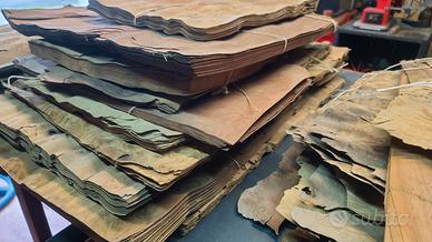 STOCK DI PIALLACCI DI RADICHE VARI