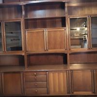 Libreria da parete attrezzata/vetrina.