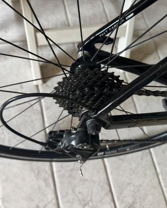 Bici in carbonio