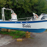 Barca a motore Open 530