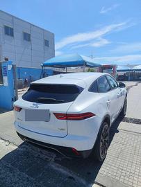 Jaguar e Pace 2000 150cv