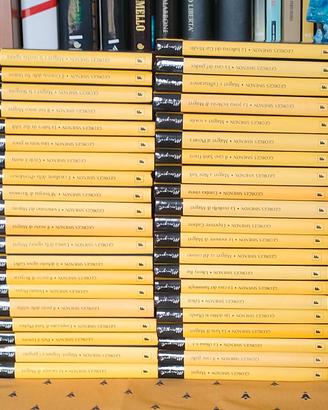 Le grandi inchieste del Commissario Maigret 41 Vol