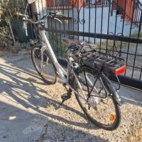 Bici elettrica con carrello porta cane , si vende