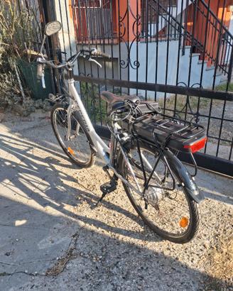 Bici elettrica con carrello porta cane , si vende
