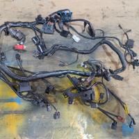 Ricambi Triumph Tiger 800 xcx