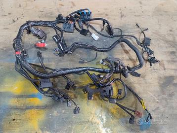 Ricambi Triumph Tiger 800 xcx