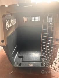 Kennel